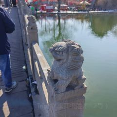 泉上农贸市场 User Photo