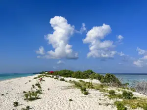 Dhigurah