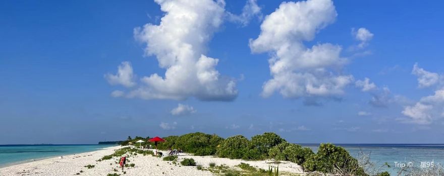 Dhigurah