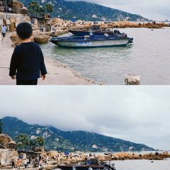 海边有棵树 여행 사진
