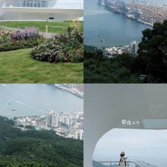 蜜悦·秘野仙踪半山森林餐厅 User Photo