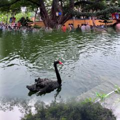 阿婆米粉 User Photo