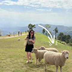 Akha FarmVille User Photo