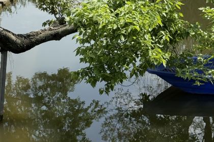 渔家小院(新津店)