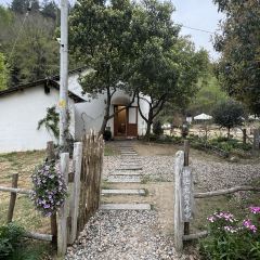 hill side User Photo