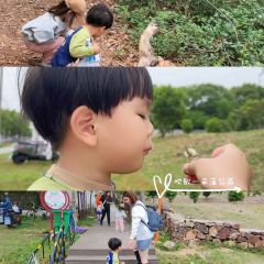 Wanli Restaurant User Photo