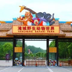 大學城夜市大排檔張用戶圖片