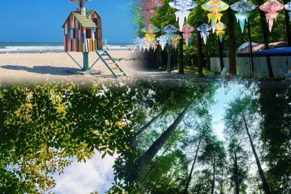 哎呀妈妈哟岚山豆腐木柴大锅鱼