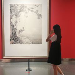 SUN JIA LONG XIA User Photo