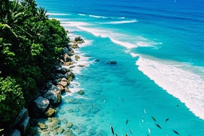 海澜海鲜厅(香水湾店)