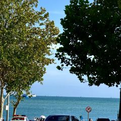 FU QI TUO TUO User Photo