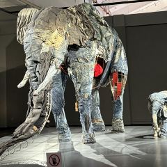 FU QI TUO TUO User Photo