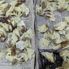 輝輝牛滑店張用戶圖片