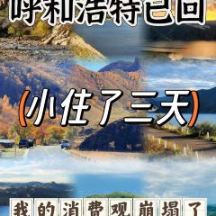 白老大羊杂碎稍麦 User Photo