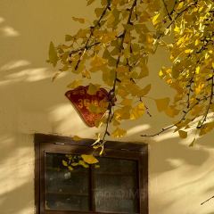 广府居酒楼 User Photo