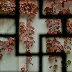 欢乐蟹庄·精品农家乐(阳澄湖莲花岛店) User Photo