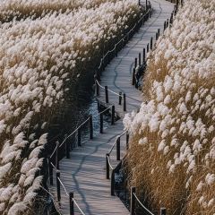 欢乐蟹庄·精品农家乐(阳澄湖莲花岛店) User Photo