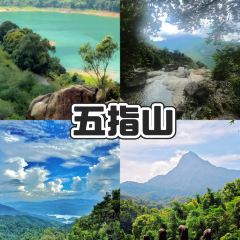 五指山亚泰雨林酒店·中餐厅 User Photo