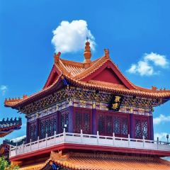 Dan's Crispy Duck User Photo