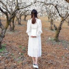 西鄉櫻花山莊度假村用戶圖片