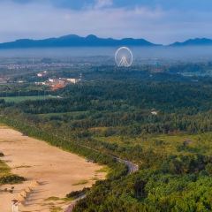 徐福记湛江烤生蚝 User Photo