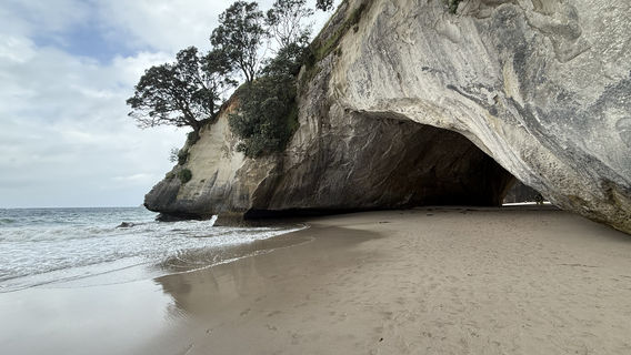 Cathedral Cove Beach