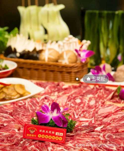 xi xi zan niu chao shan niu rou huo guo ( gang sha dian )