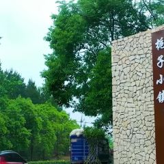大宁乡·宁乡口味菜 User Photo