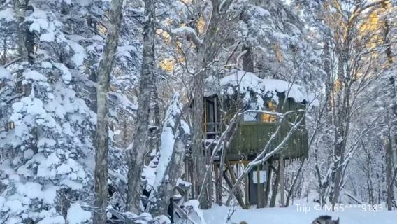 Snow Sledding in Yanbian