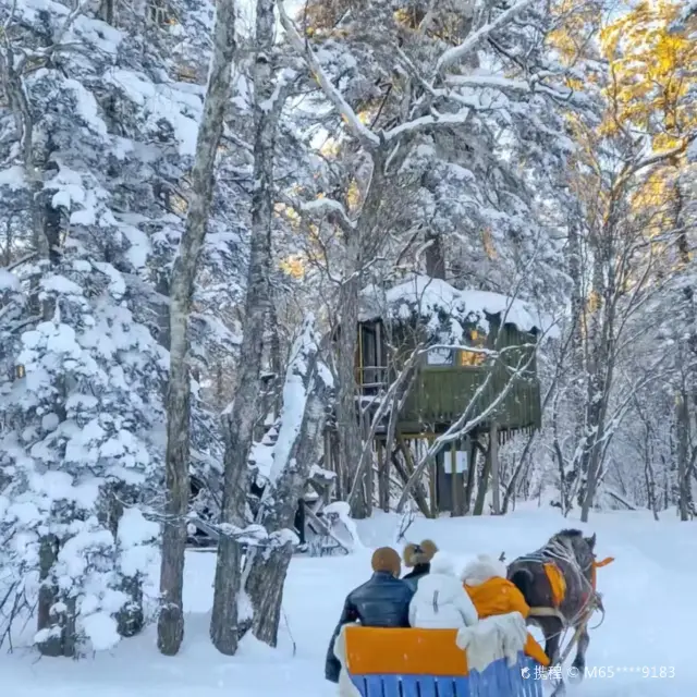 Snow Sledding in Yanbian