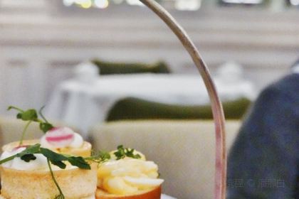 Palm Court at The Balmoral