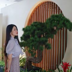 CHIHO JAPANESE CUISINE User Photo