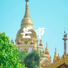 芒市天然活螃蟹 User Photo