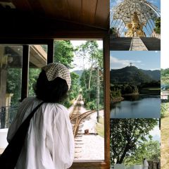 蜜悦·秘野仙踪半山森林餐厅 User Photo