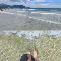 新钊记冰室 User Photo