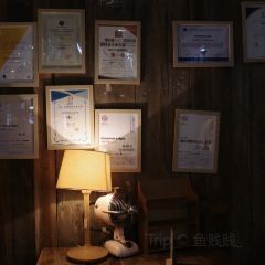 Showroom Cafe User Photo