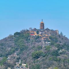 狼山紫琅素面 User Photo