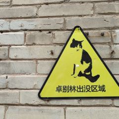 蔡大嫂餐馆 User Photo