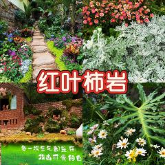 二嫂烧烤(共青团西路南六巷店) User Photo