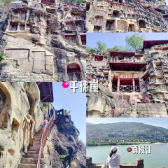 小唐核桃饼 User Photo