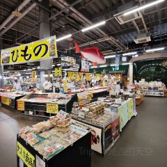 Kaisen sushi Toretore icihba User Photo