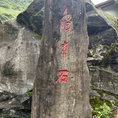 保山回族火一瓢 User Photo