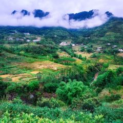 派樂漢堡張用戶圖片