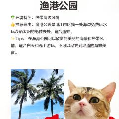 XINYUELOU User Photo