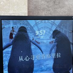 Yang Zi Xuan User Photo