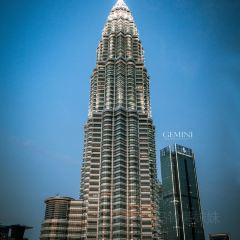 Envi Skydining User Photo