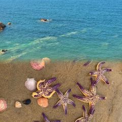 海岛日记(养马岛店) User Photo