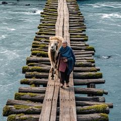 特色羊排揪片子清真張用戶圖片