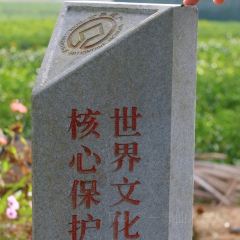 小竹林 여행 사진