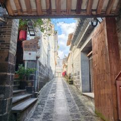 邓氏大薄片 User Photo